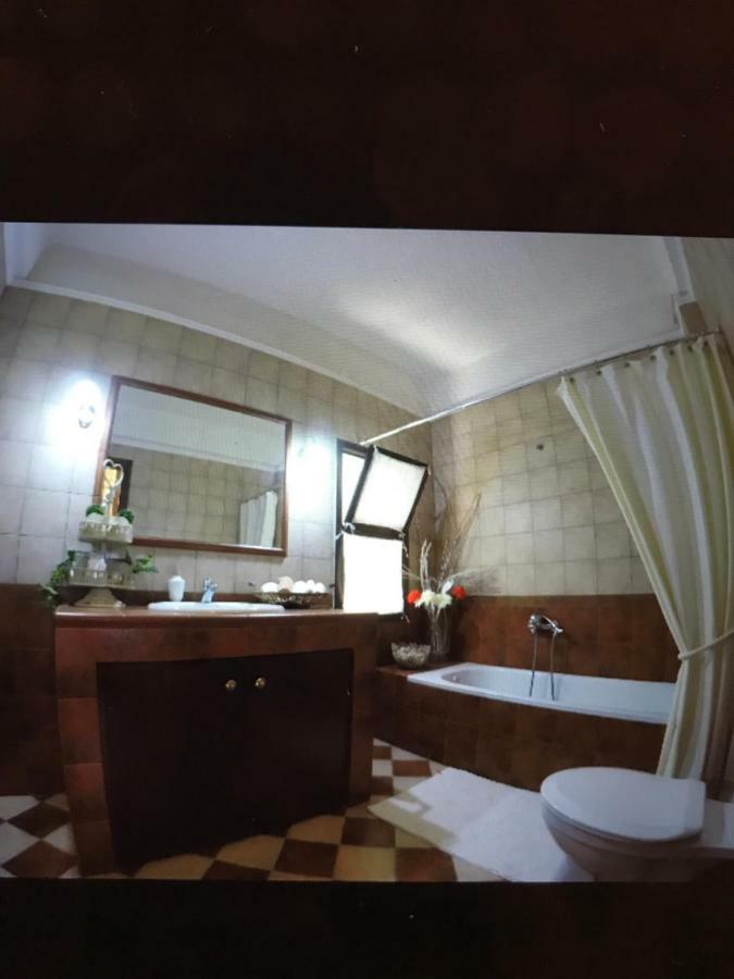 Elani Beautiful Villa Siviri Extérieur photo